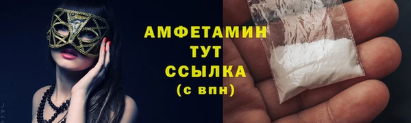 сатива Медногорск