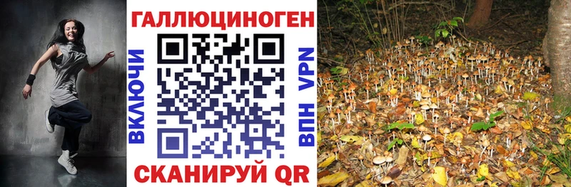Галлюциногенные грибы мухоморы  хочу   Нововоронеж 
