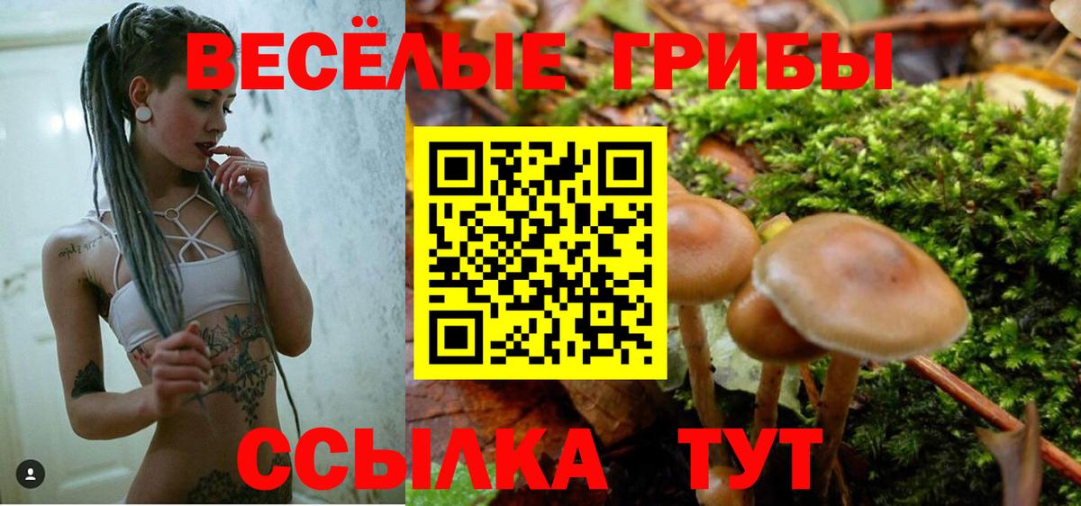 Нововоронеж  Галлюциногенные грибы MAGIC MUSHROOMS  Вход с VPN 