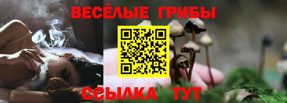 Галлюциногенные грибы Cubensis Нововоронеж